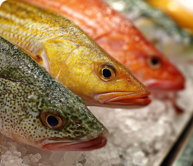Pescados y Mariscos